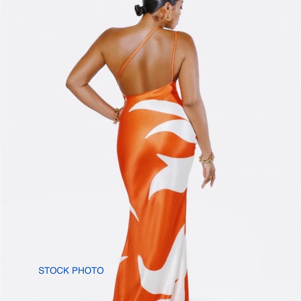 Hanifa Vibrant Orange and White Maxi Dress - Picture 7 of 8